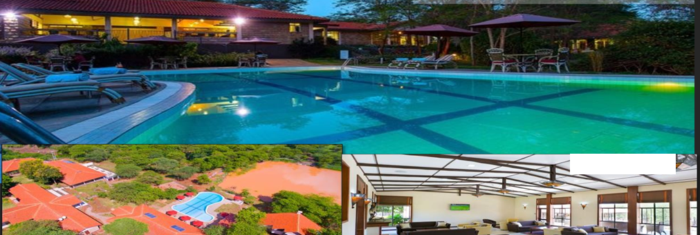 Hotels & Holiday Resorts — photo 1